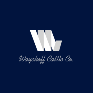 Logo Design by Orikiii