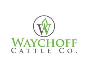 Logo Design by All Graphic Design Solution for this project | Design: #14320002