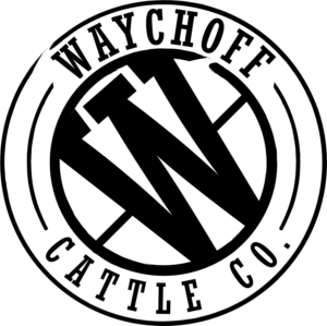 Logo Design by James Hilton