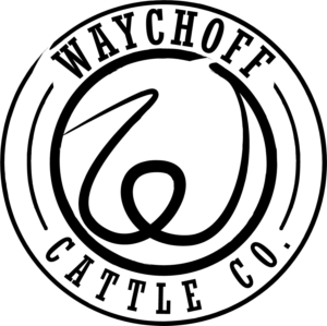 Logo Design by James Hilton for this project | Design: #14333831