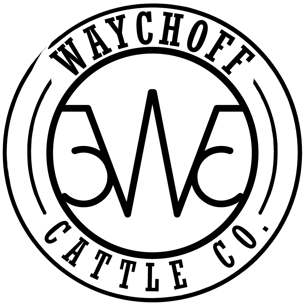 Design de Logo par James Hilton pour ce projet | Design #14358332