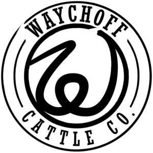 Logo Design by James Hilton for this project | Design: #14358333