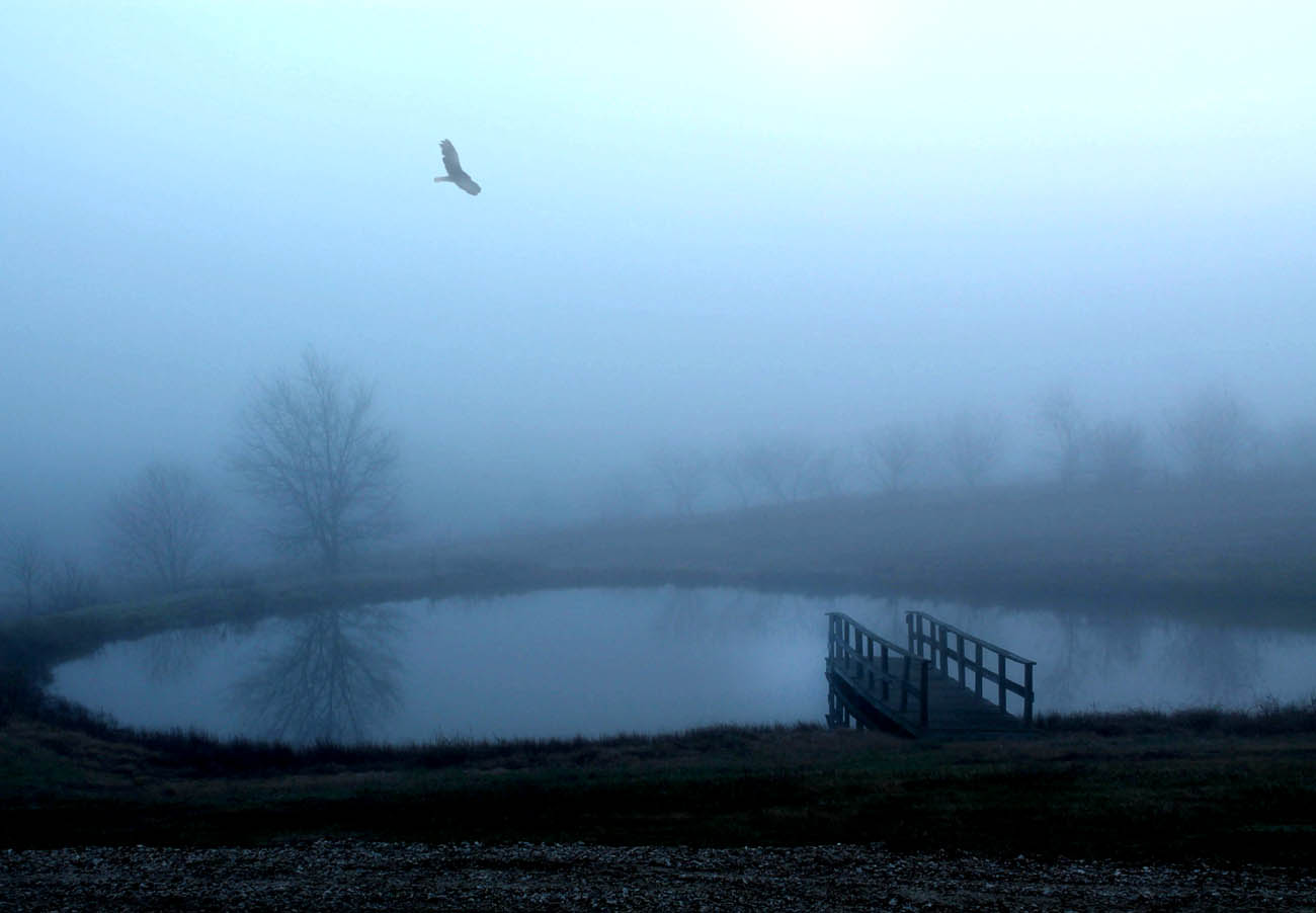 Photography by birdbluff for DesignCrowd (Community Contests) | Design #14378954