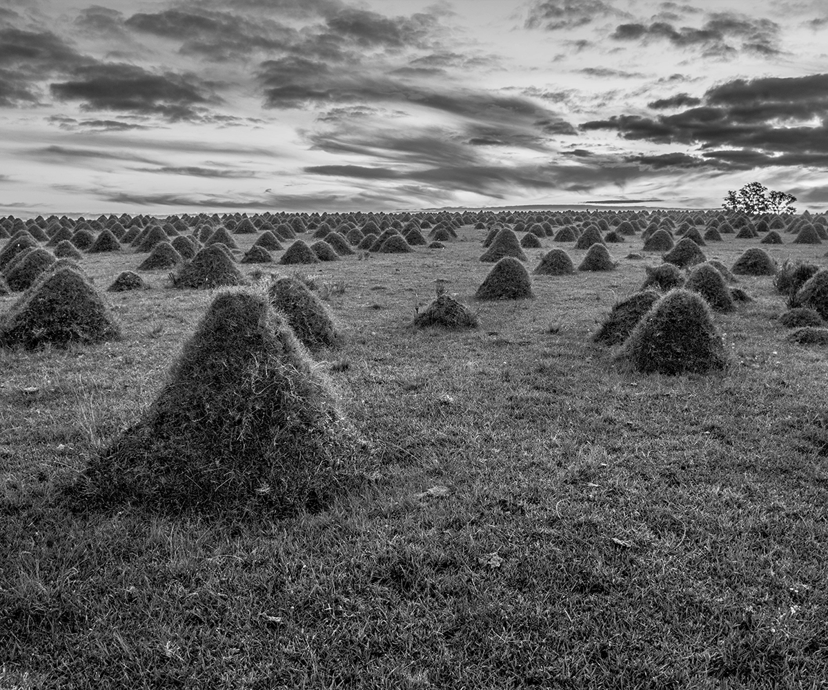 Photography by cafeina for DesignCrowd (Community Contests) | Design #14400264