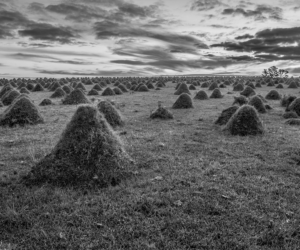 Photography by cafeina