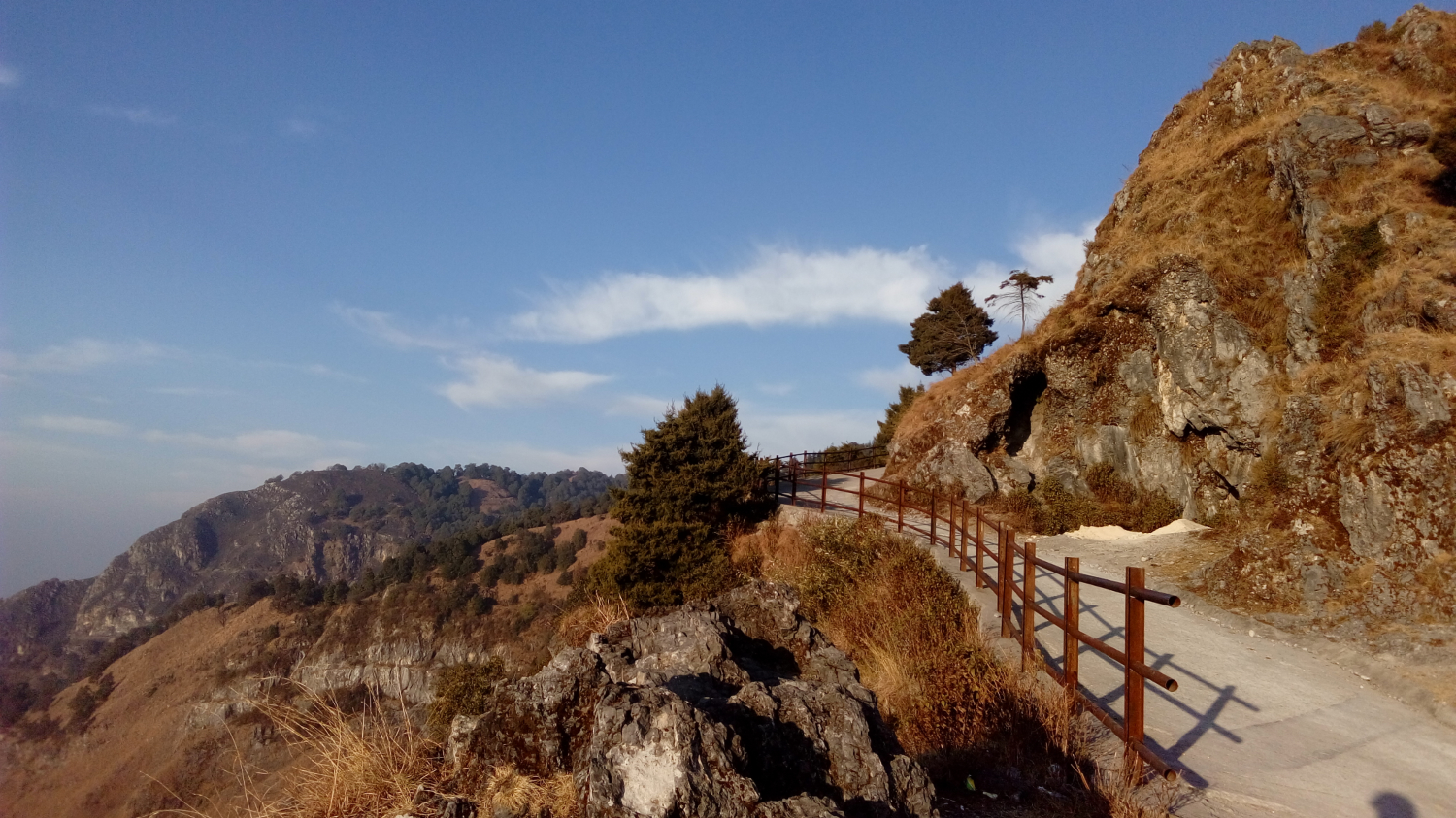 Photography by Sumi@Lucid for DesignCrowd (Community Contests) | Design #14315905