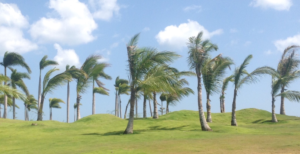 Photography by SugarWaffles