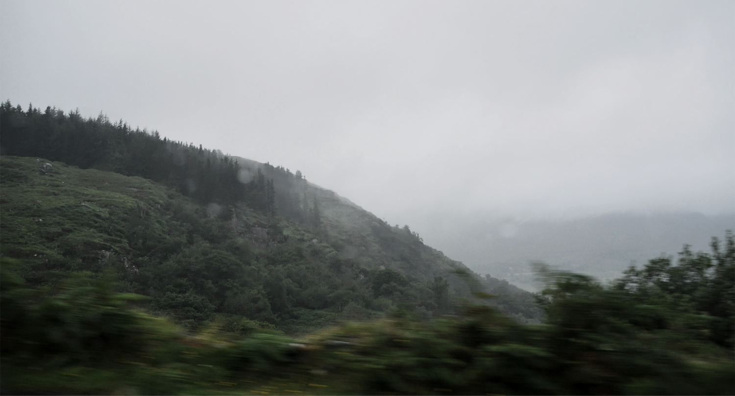 Photography by jansen132235 for DesignCrowd (Community Contests) | Design #14462628