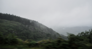 Photography by jansen132235