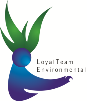 Logo Design by Joisie