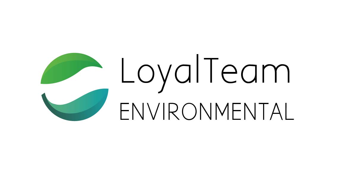 Diseño de Logo por silvia_lcg para este proyecto | Diseño #14417229