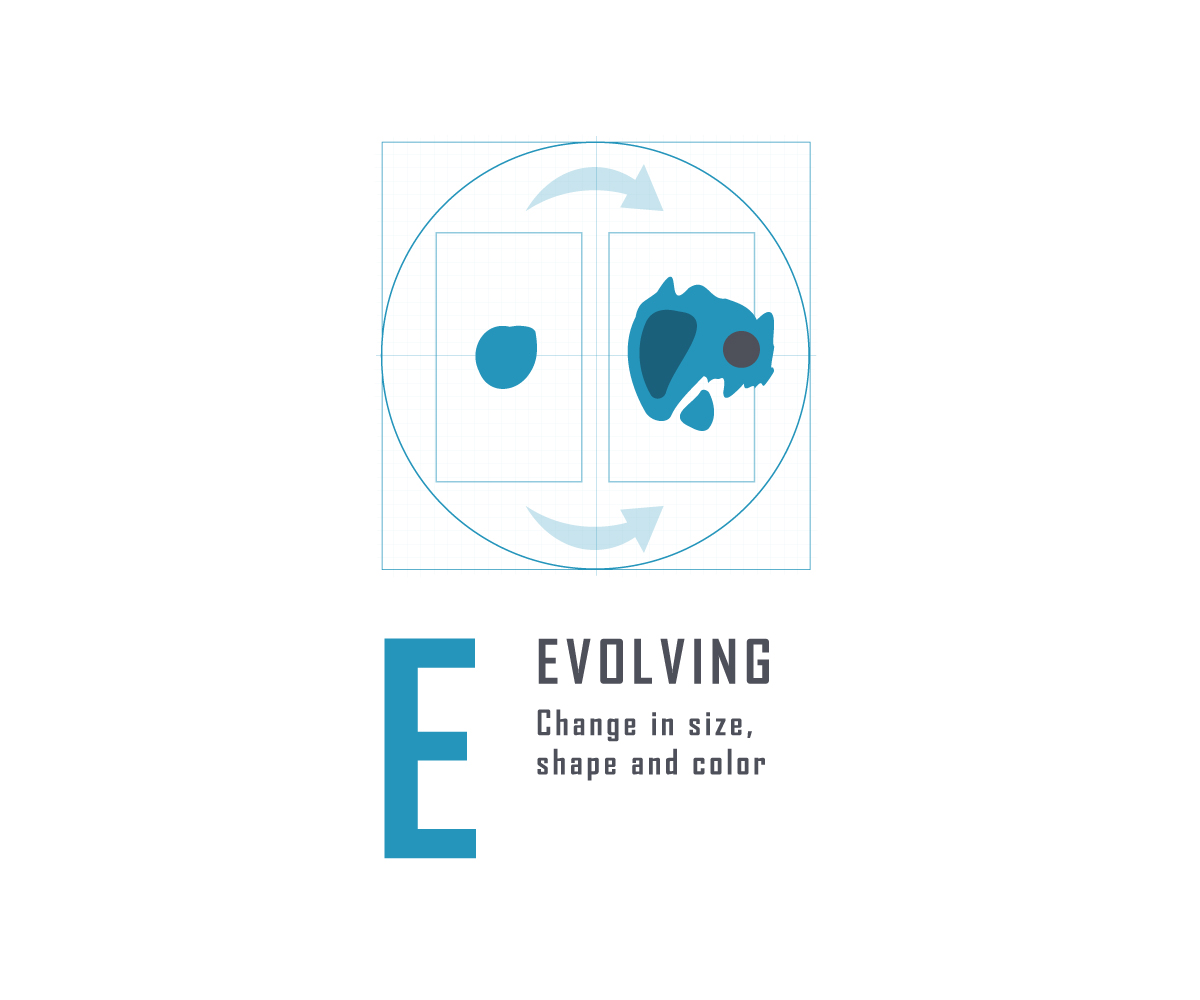 Diseño Con Ilustración por neboica para University of utah | Diseño #14490368