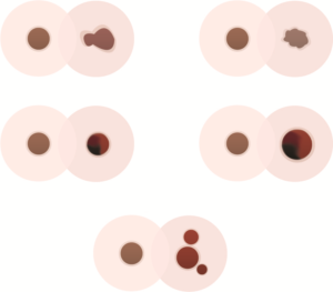 Illustration-Design von SamyPhotoshop für University of utah | Design: #14386697