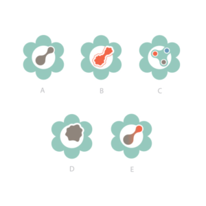 Illustration Design by LOWENHART for University of utah | Design #14444994