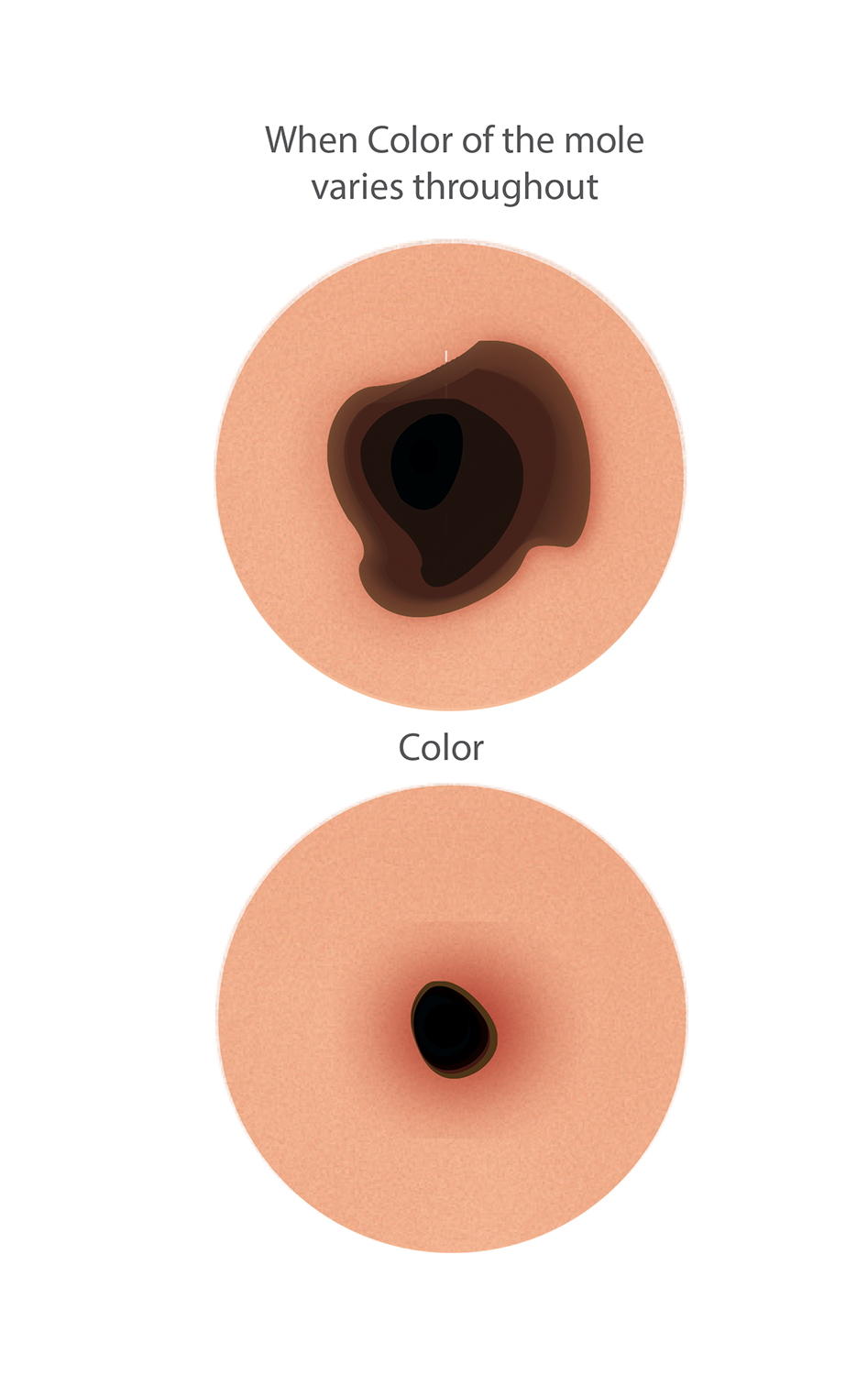 Diseño Con Ilustración por nafizrahat para University of utah | Diseño #14394321