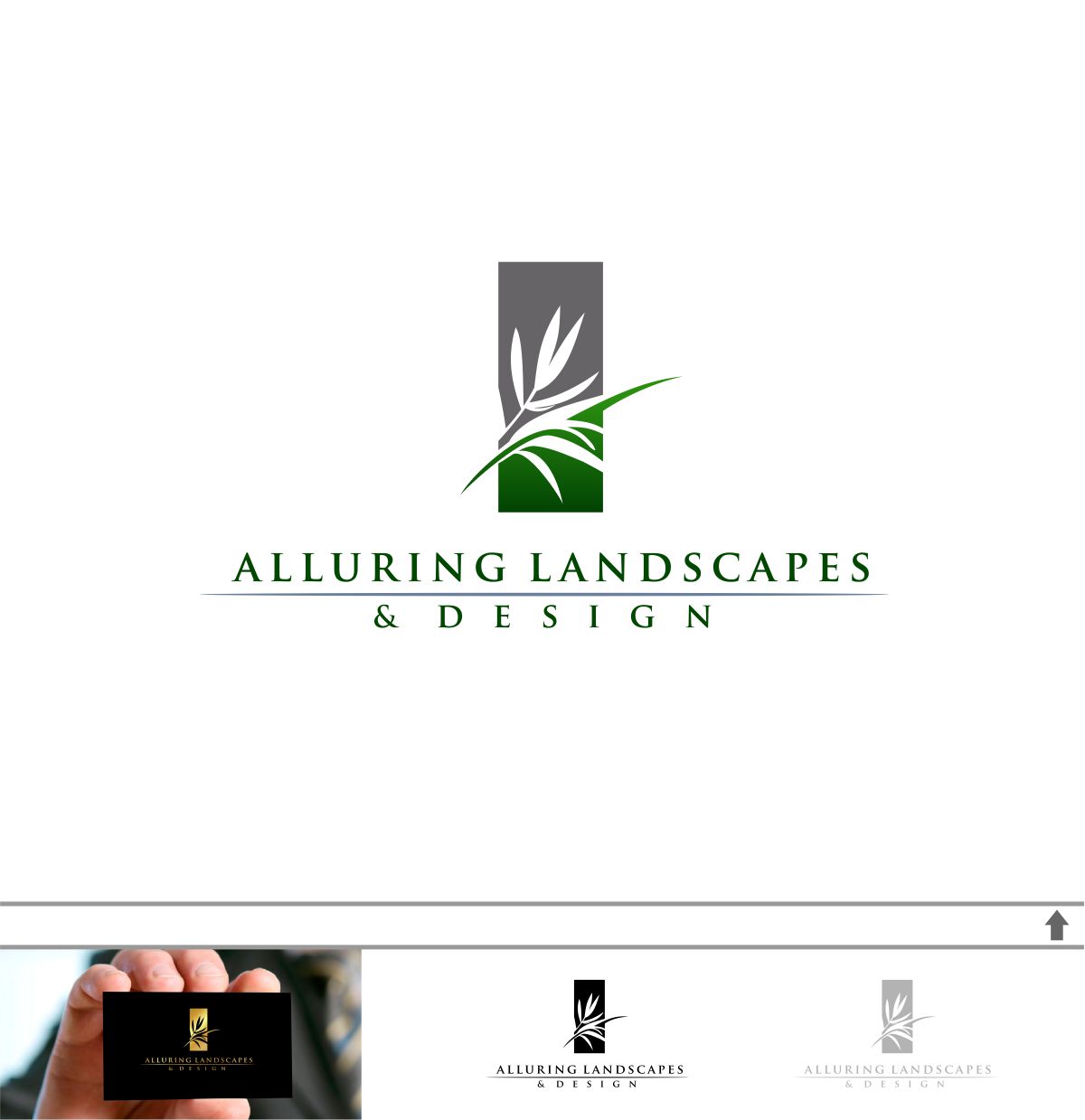 Design de Logo par DesignMX (Renan Mejia) pour ce projet | Design #14507723