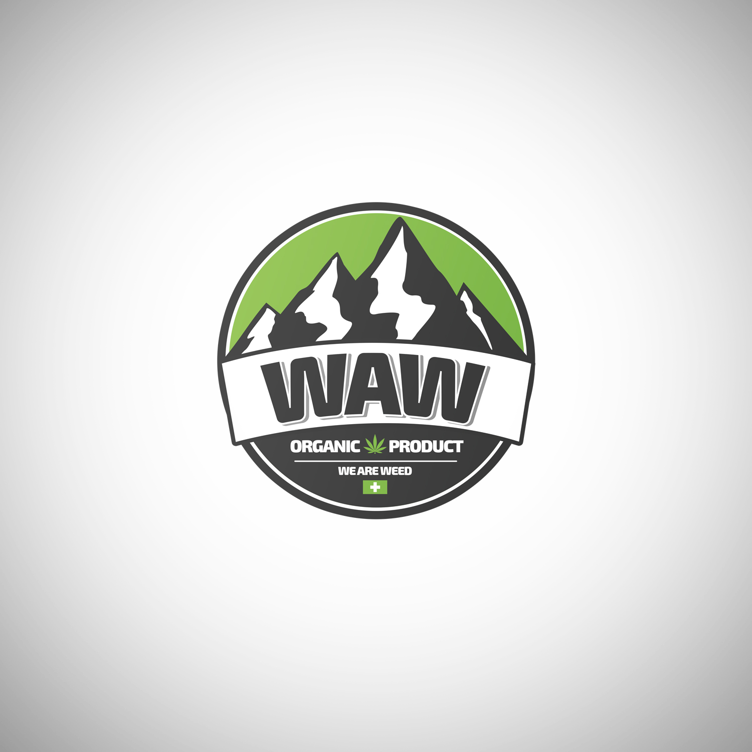 Logo Design by Gabriel Viotto for this project | Design #14444467