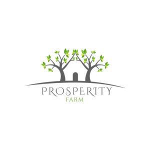 Logo Design by Octavian B.