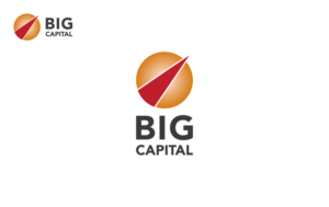 Logo Design by Radu Borzea for Bitexco group | Design: #14627286