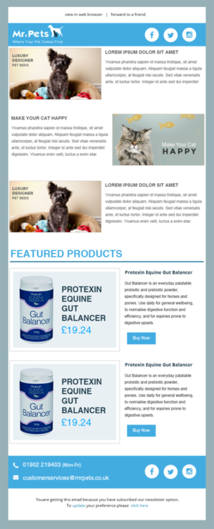 Mailchimp Template Design | Web-Design von Expert Designer