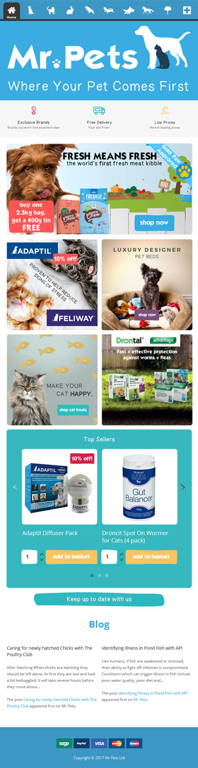 Web Design by Impressive Sol for this project | Design #14372479