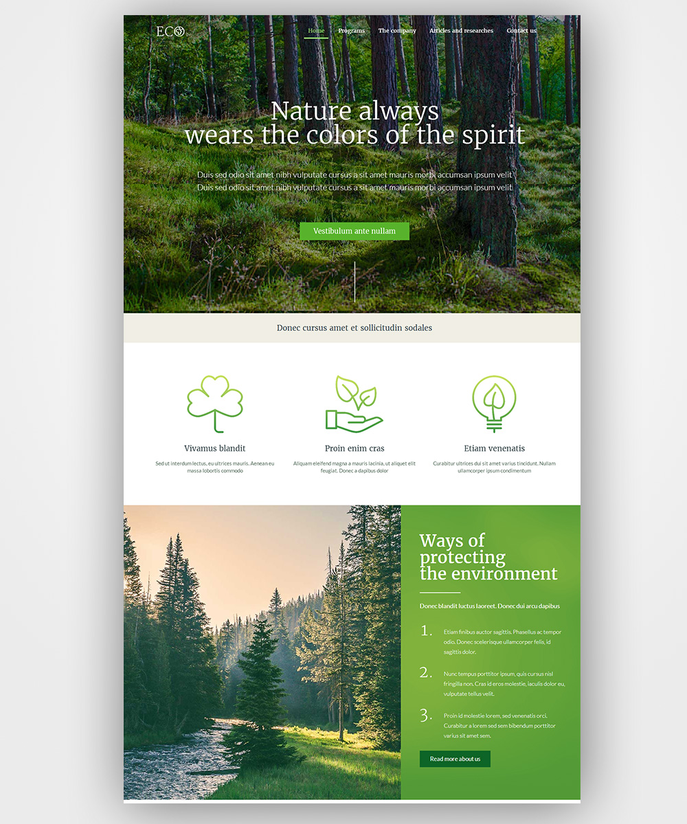 Web Design by genchan for this project | Design #14340344