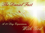 Advertisement Design by Stellar Designs