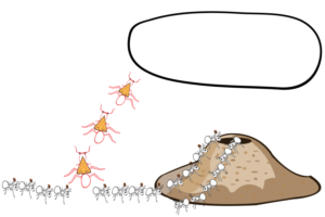 Illustration Design by vesna.radulovic1 for this project | Design: #14412613