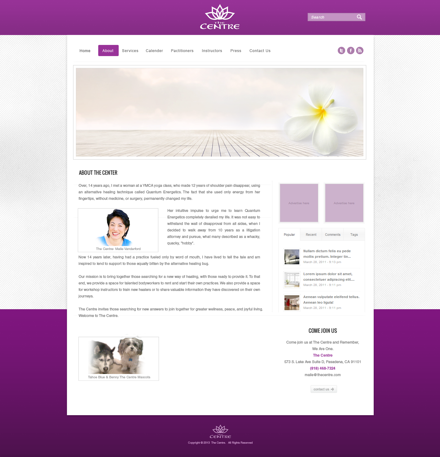 Wordpress Design by aaronik for this project | Design #2570981