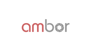 Logo Design by Prendo Studios for Ambor | Design: #564217