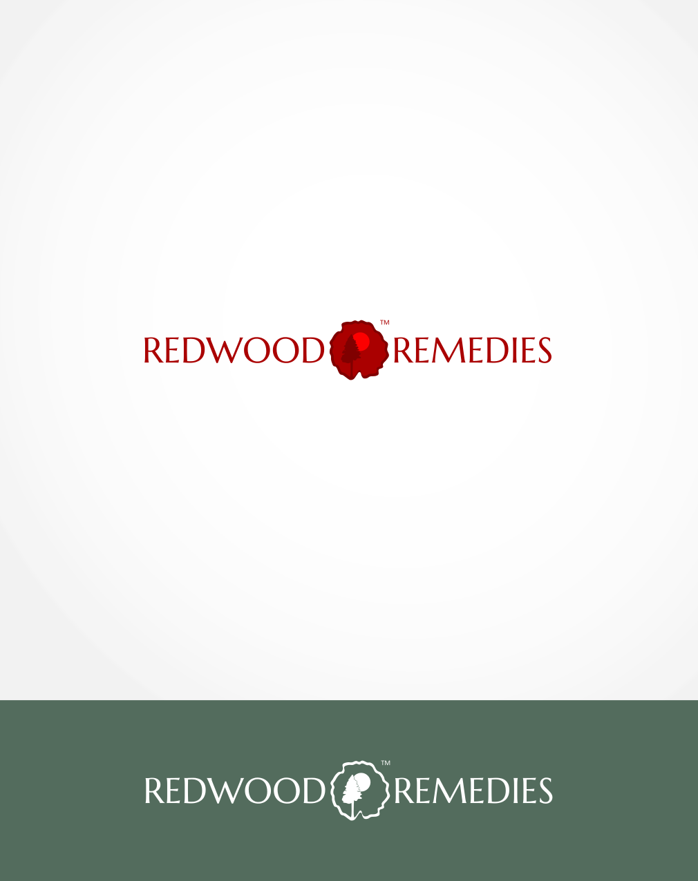 Diseño de Logo por ChinMaya para este proyecto | Diseño #14622068