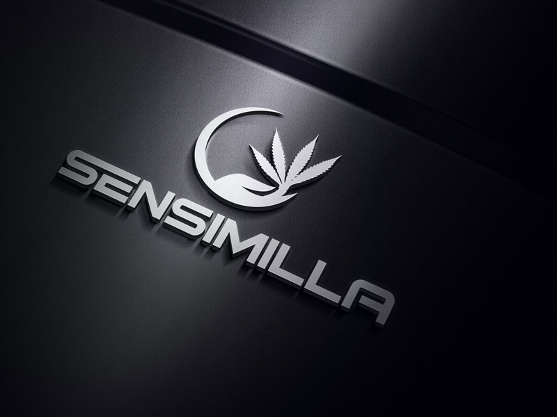 Logo Design by solzar design for Momma Chan,LLC | Design #15120220