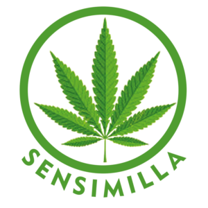 Logo Design by H2H Advertising