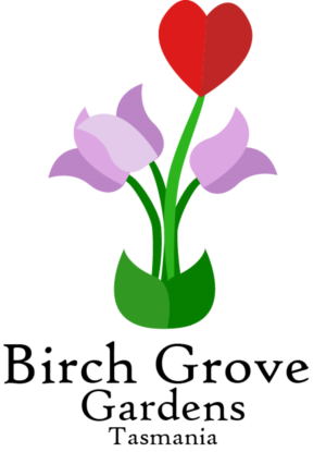 Logo Design by Bomatix