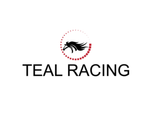 Logo-Design von Top king  designer für Teals Auto  | Design: #14394246