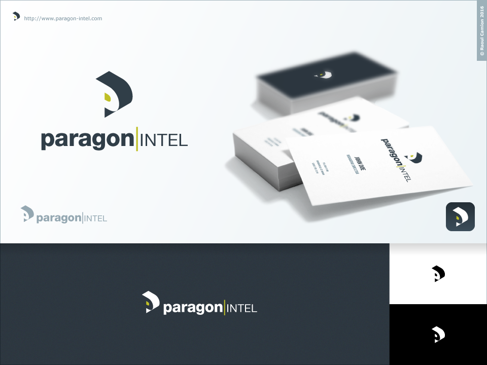Logo Design by Raoul Camion for this project | Design #14399015