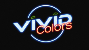 Diseño de Logo por Impressive Solutions para este proyecto | Diseño: #14426624