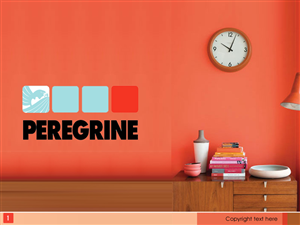 PowerPoint Design by Best Design Hub for Peregrine Custom Plastics & Acrylics | Design: #2547570
