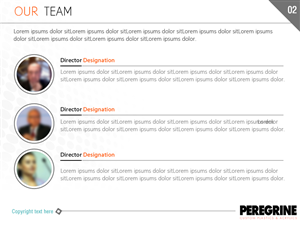PowerPoint Design by Best Design Hub for Peregrine Custom Plastics & Acrylics | Design: #2552947