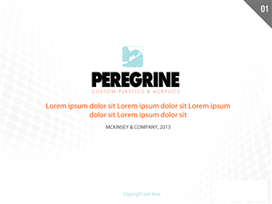 PowerPoint Design by Best Design Hub for Peregrine Custom Plastics & Acrylics | Design: #2552956