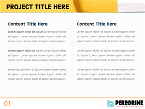 PowerPoint Design by Best Design Hub for Peregrine Custom Plastics & Acrylics | Design: #2558695