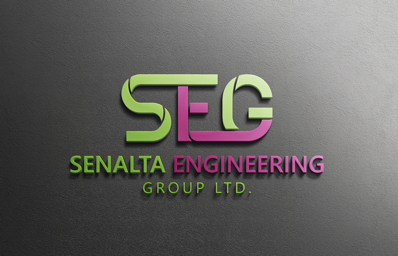 Logo Design by Top king  designer for Senalta Engineering Group Ltd | Design #14413707