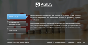 Web Design by pb for Agilis | Design: #14535060