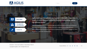 Web Design by pb for Agilis | Design: #14535068