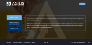 Web Design by pb for Agilis | Design: #14535070