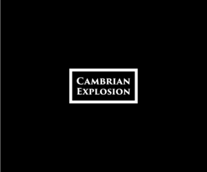 Design de Logo par Click Designer pour Cambrian Sweden | Design : #14540892
