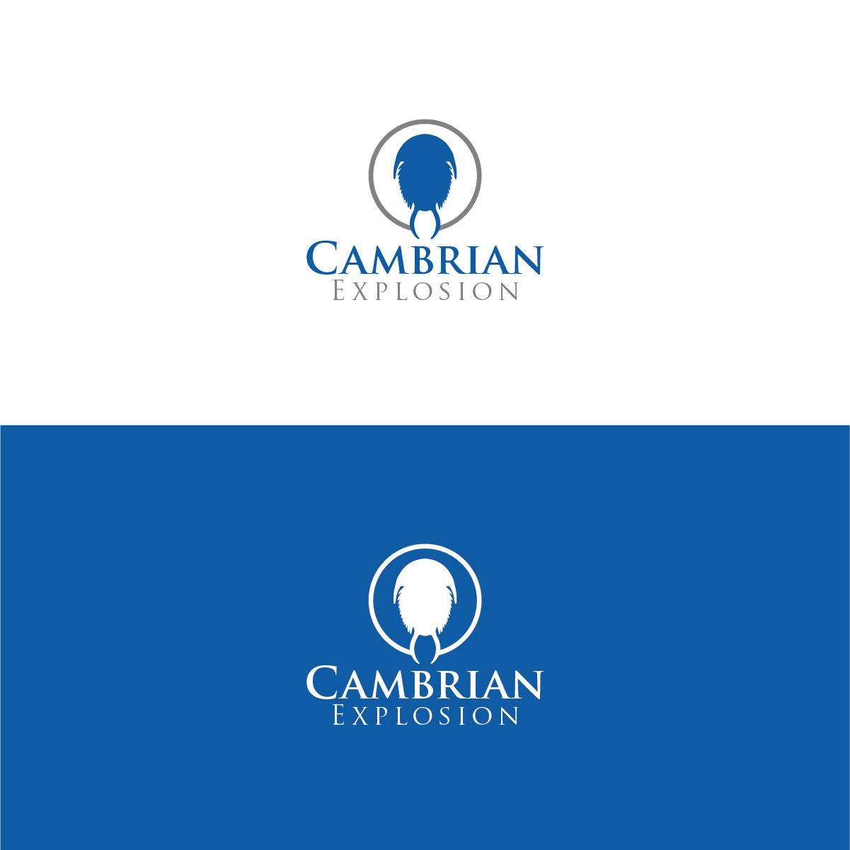 Logo Design by 3Guys for Cambrian Sweden | Design #14430144