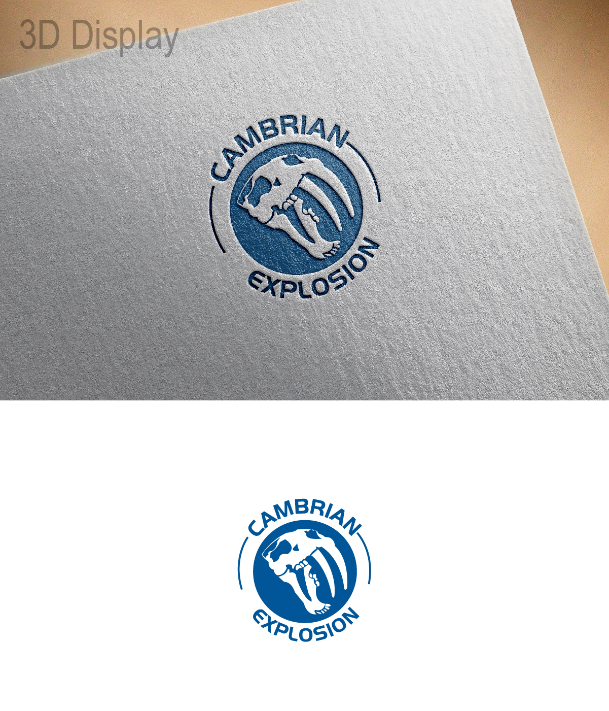 Logo Design by 3Guys for Cambrian Sweden | Design #14443136