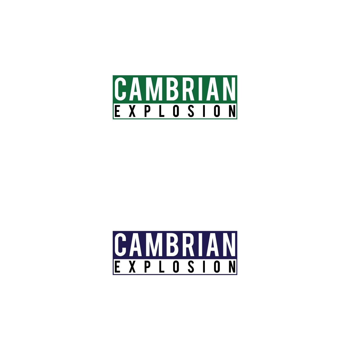 Logo Design by 3Guys for Cambrian Sweden | Design #14451272