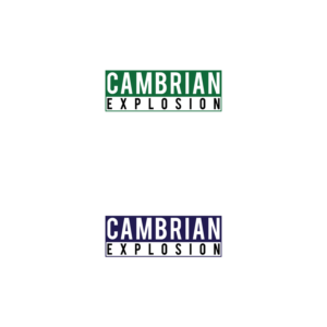 Logo Design by 3Guys for Cambrian Sweden | Design: #14451272